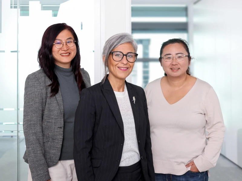 das internationle Team von H&W